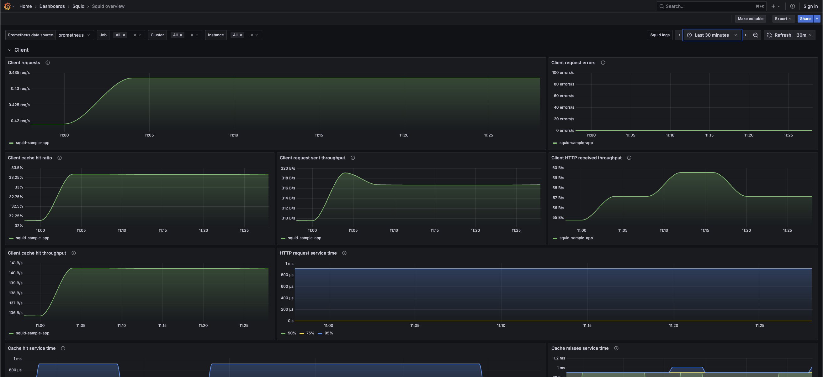 Squid overview dashboard (client)