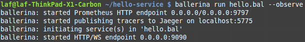 Figure 1 - Starting the Ballerina service