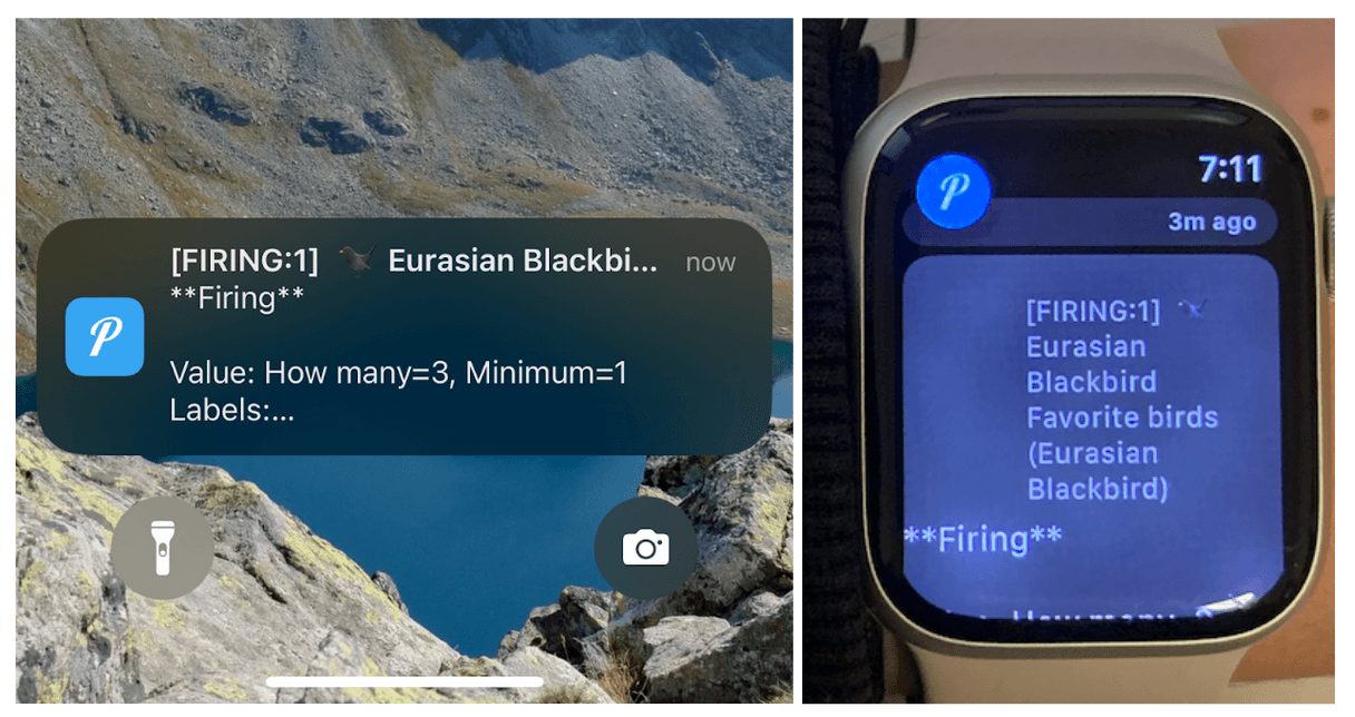 Firing alert notification