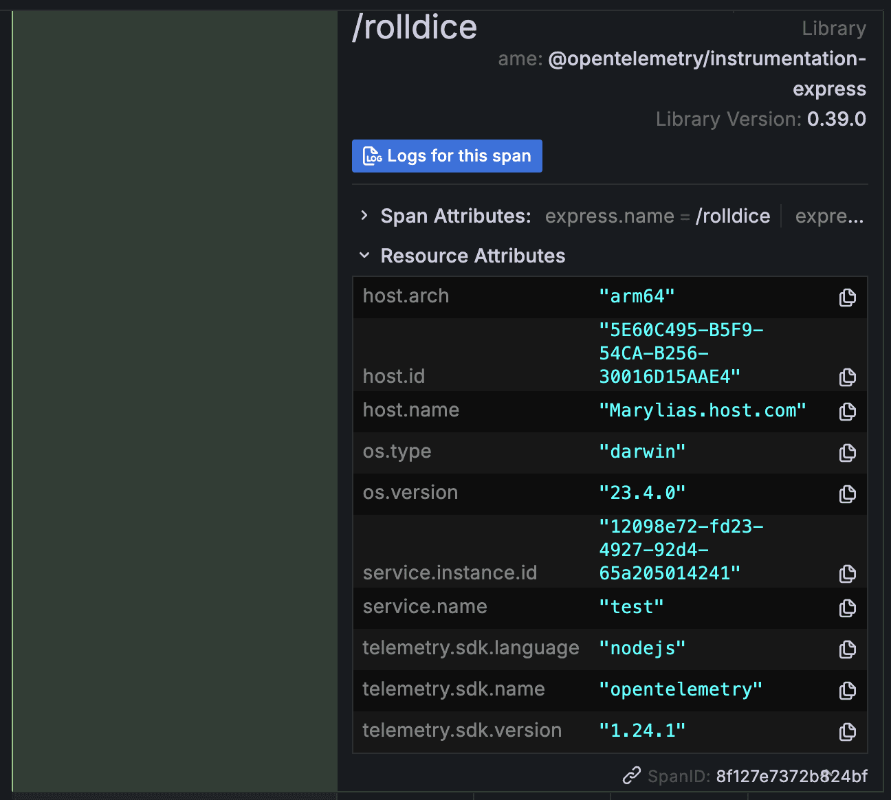 A screenshot of the Resource Attributes section.
