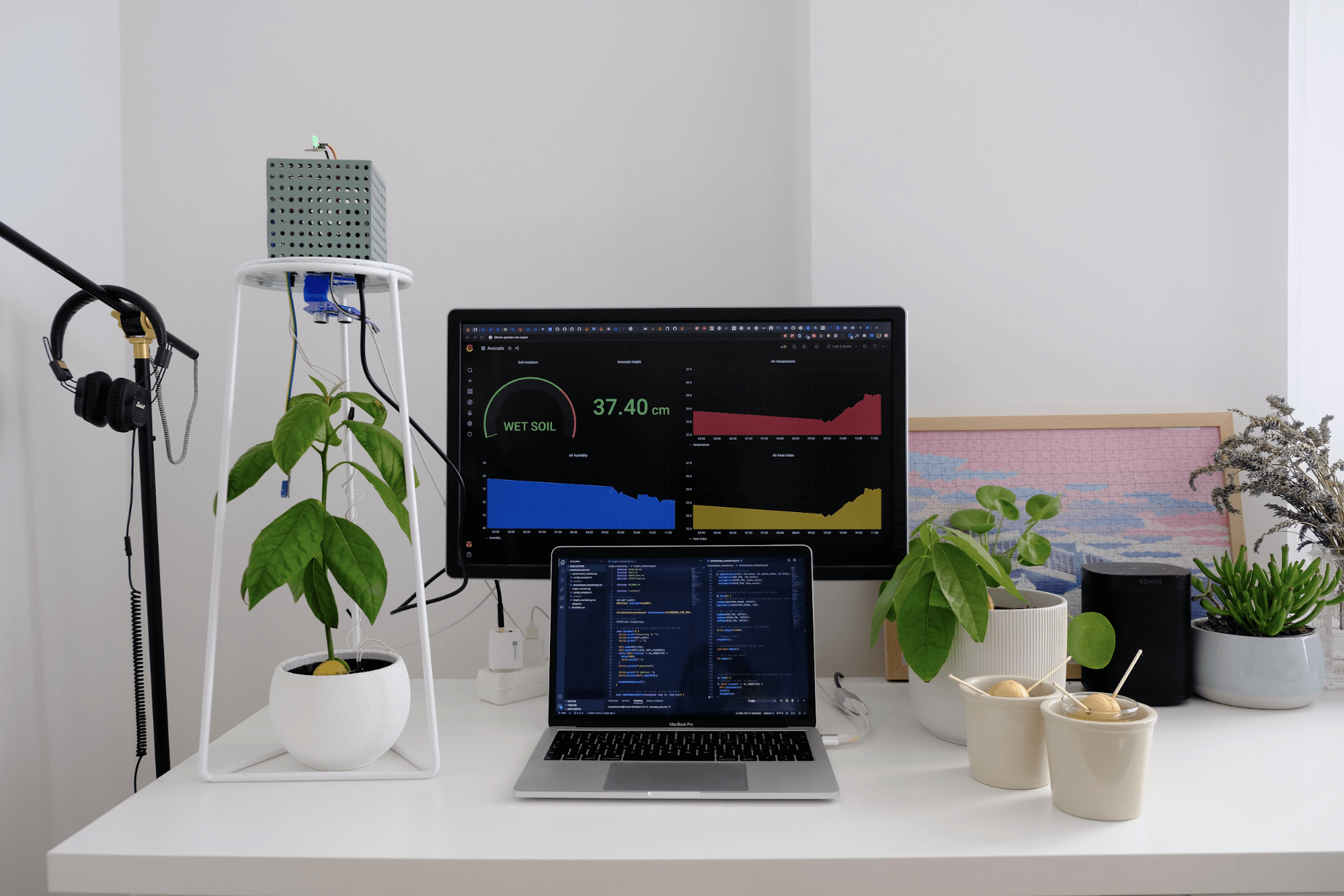 How I built a monitoring system for my avocado plant with Arduino and Grafana Cloud