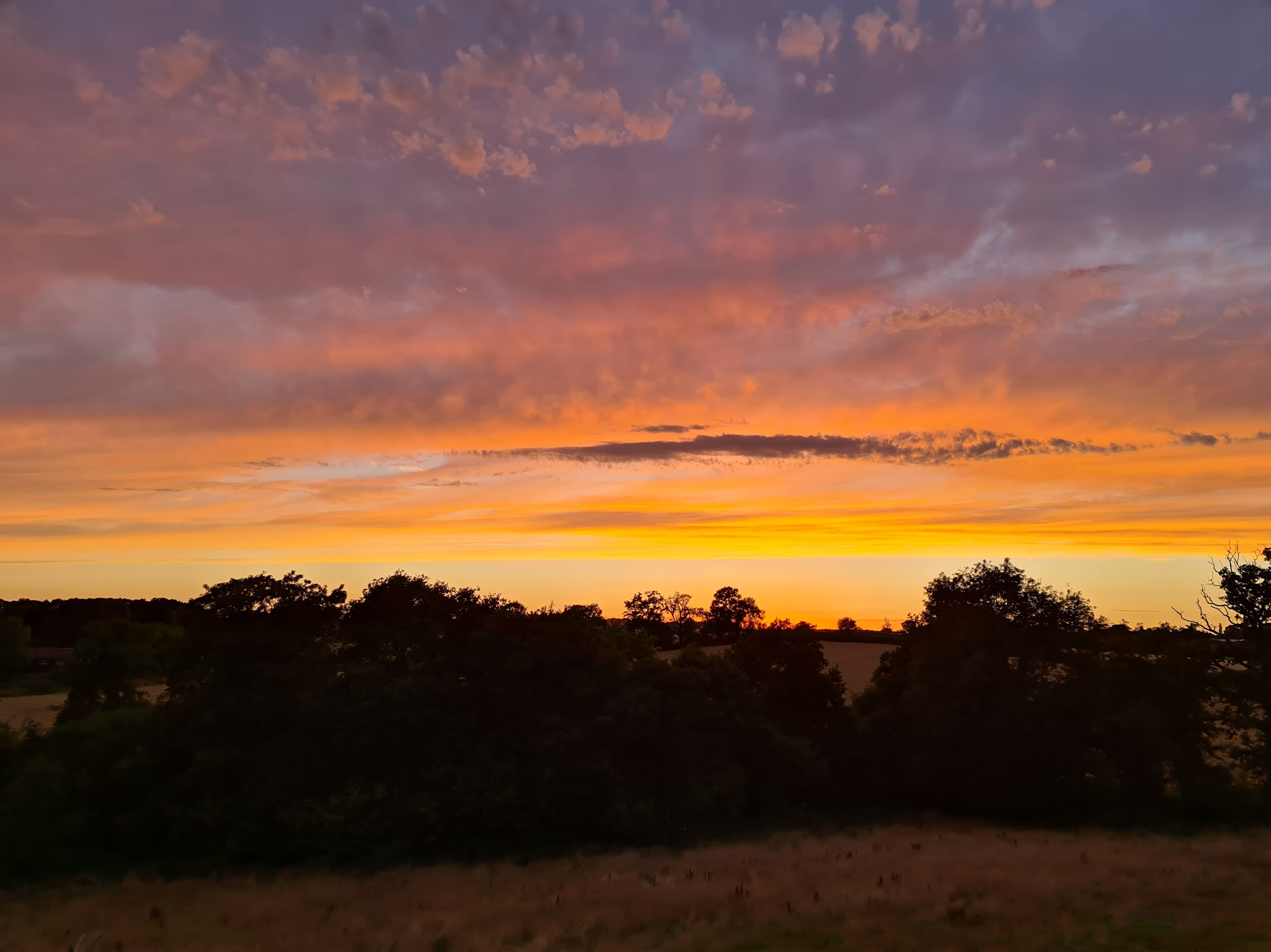 <View from Dave Russell's workspace> <View from Dave Russell's workspace>